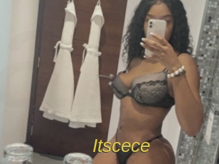 itscece Archive DVD ORG