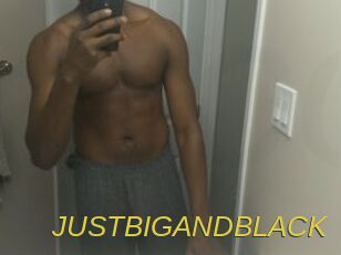 JUSTBIGANDBLACK
