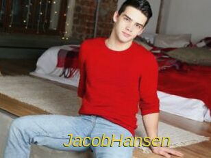 JacobHansen Archive DVD ORG