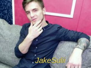 JakeSulii