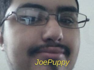 JoePuppy