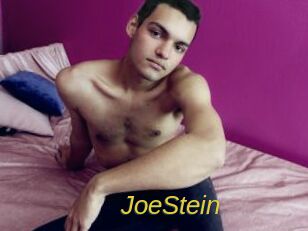 JoeStein Archive DVD ORG