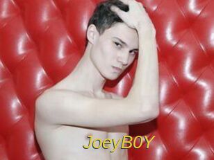 JoeyB0Y