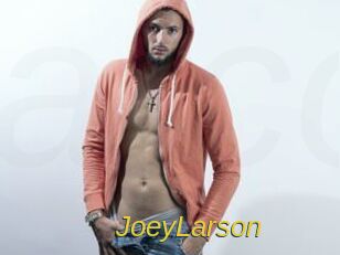 JoeyLarson