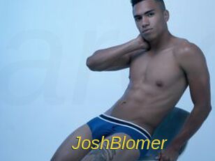 JoshBlomer