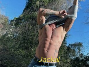 Jackal