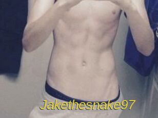 Jakethesnake97