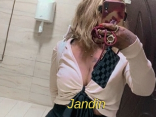 jandin Archive DVD ORG