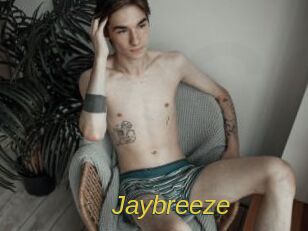 Jaybreeze