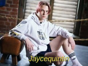 jaycequintin Archive DVD ORG