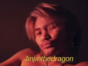 jinjinthedragon Archive DVD ORG