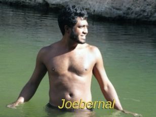 joebernal Archive DVD ORG