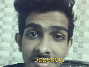 Joeybing