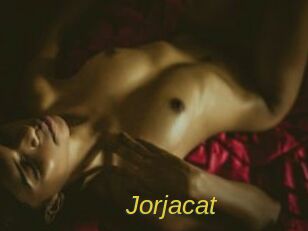 Jorjacat