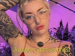 Junipercypressforest