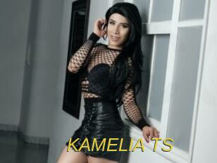 KAMELIA_TS
