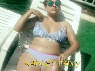 KARLEY_tranny