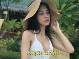 KaguraSim