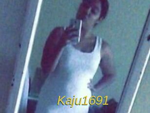 Kaju1691