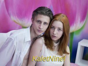 KaletNinel