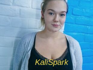 KaliSpark
