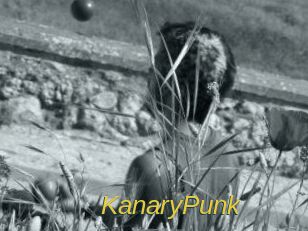 KanaryPunk