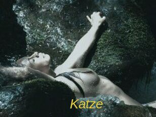 Katze