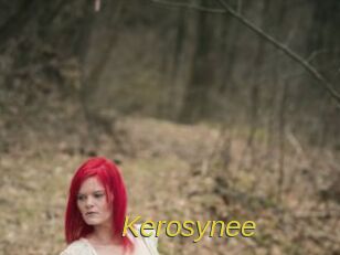 Kerosynee