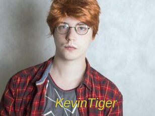 KevinTiger