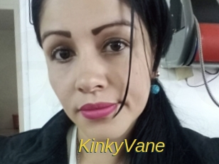 KinkyVane Archive DVD ORG