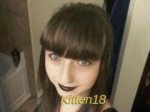Kitten18