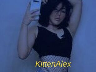 KittenAlex