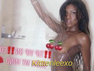 Kitttenleexo