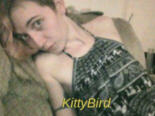 KittyBird