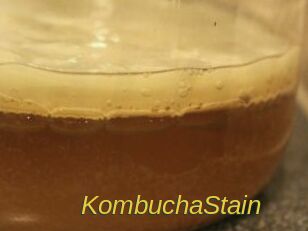KombuchaStain