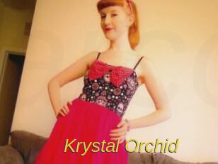 Krystal_Orchid