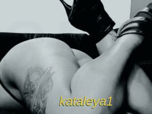 _kataleya1