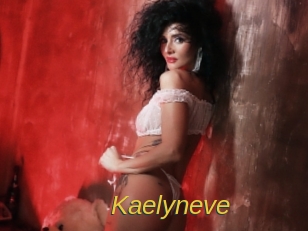 kaelyneve Archive DVD ORG