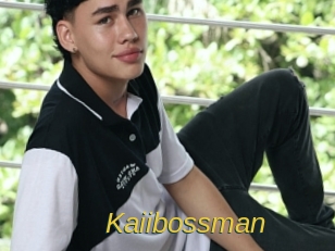 kaiibossman Archive DVD ORG