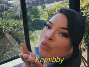 Kamibby