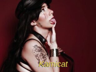 Kamicat