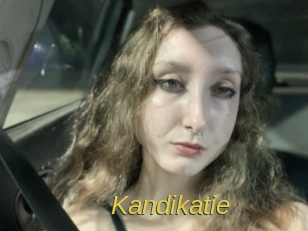 Kandikatie