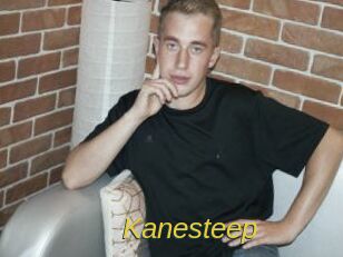 Kanesteep