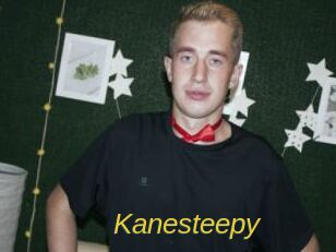 Kanesteepy