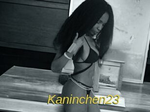 Kaninchen23