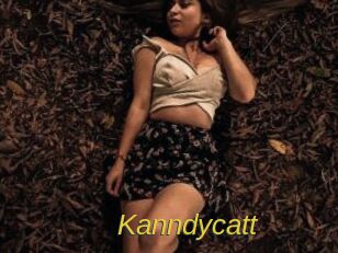 Kanndycatt