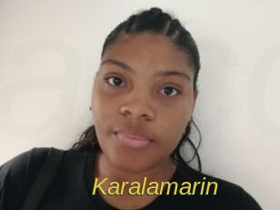 Karalamarin