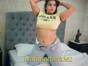 kariinamendez Archive DVD ORG