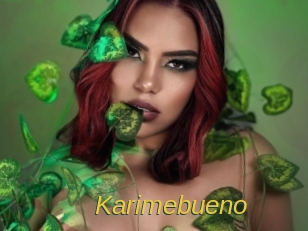 Karimebueno