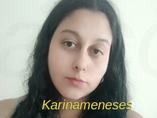 Karinameneses